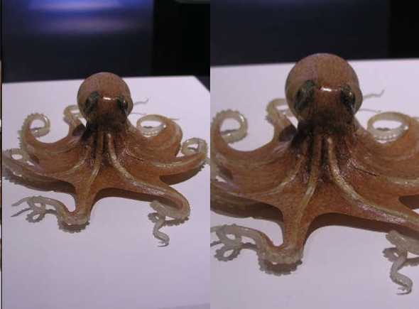 octopus stereo