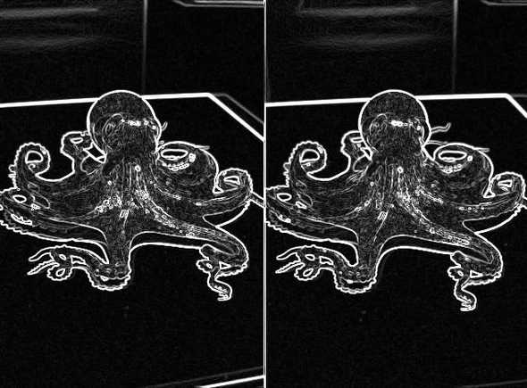 octopus edge detect