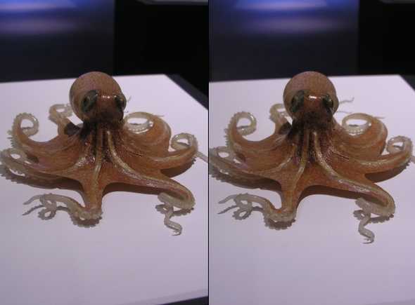 octopus stereo